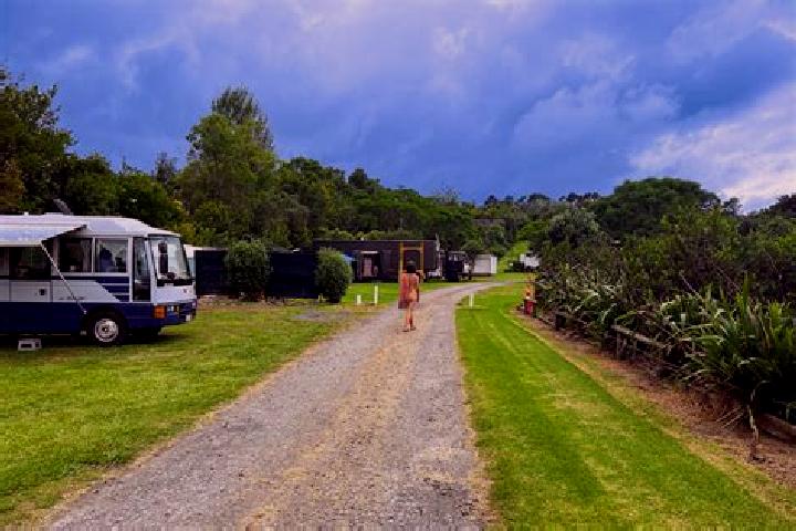 Elizabeth, 20 — Escort in Katikati, New Zealand
