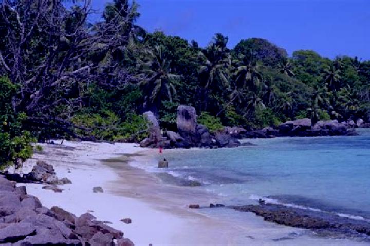 Elizabeth, 21 — Escort in Anse aux Pins, Seychelles