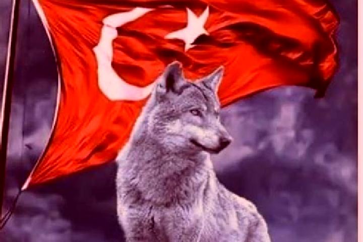 Elizabeth, 21 — Escort in Oguzlar, Turkey