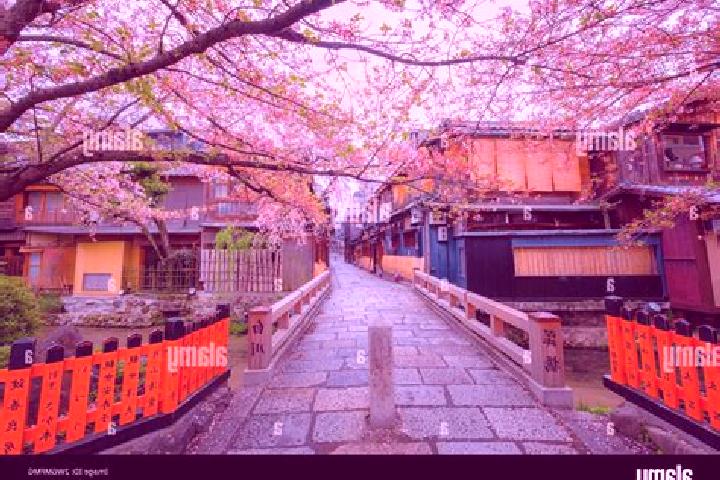 Elizabeth, 21 — Escort in Shinbashi, Japan