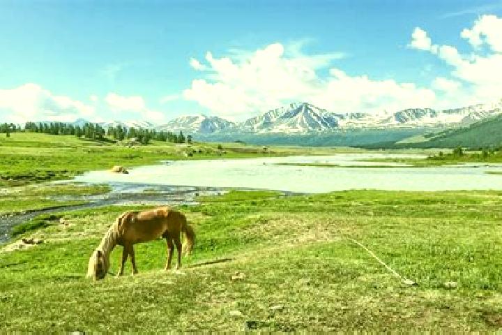 Elizabeth, 22 — Escort in Hashaat, Mongolia