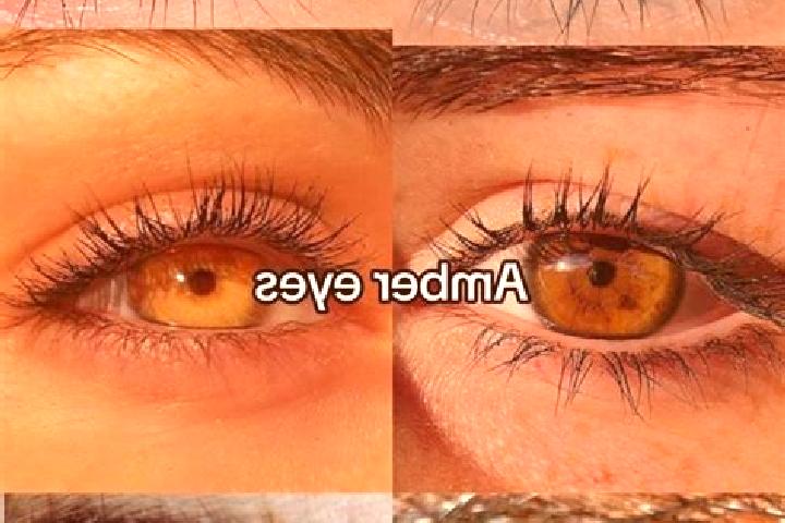 Elizabeth, 24, a dark blonde amber-eyed indian companion based in Pedat. Offering A-Level, Fetish, Tantra, 69. Available for incall and outcall, overnight bo...