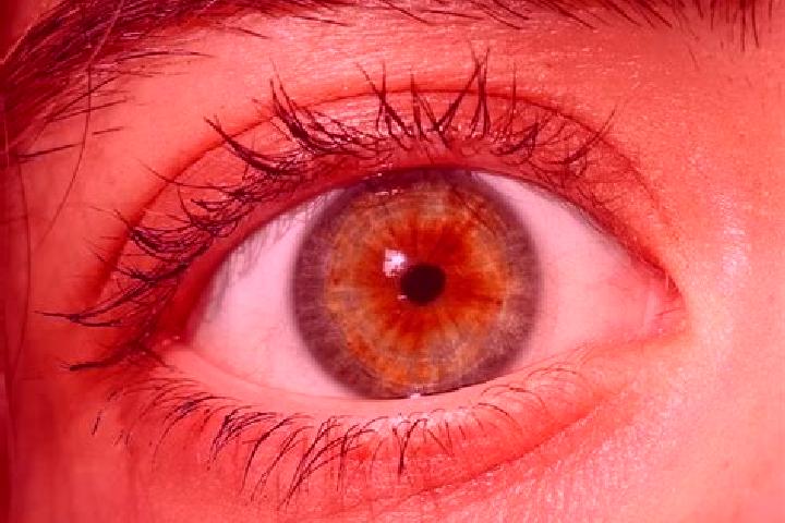 Elizabeth, 24, a red hazel-eyed european companion based in Puerta Pulache. Offering 69, GFE, Tantra, Roleplay. Available for incall and outcall, overnight b...