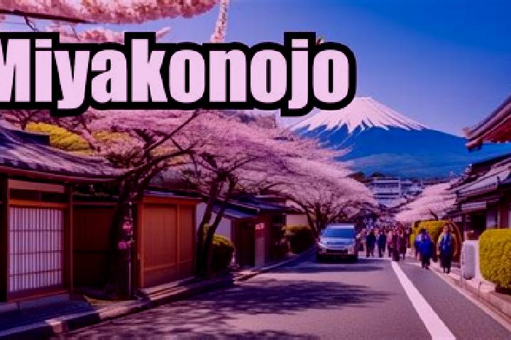 Elizabeth, 24 — Escort in Miyakonojo, Japan