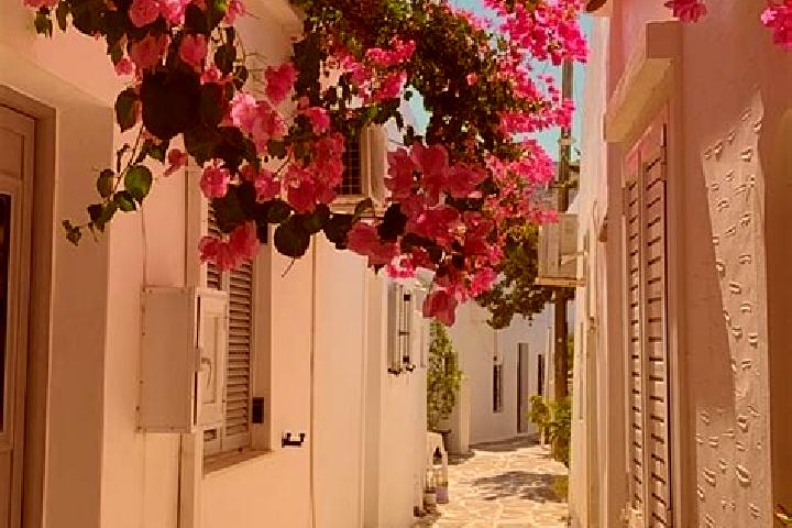 Elizabeth, 24 — Escort in Polymylos, Greece