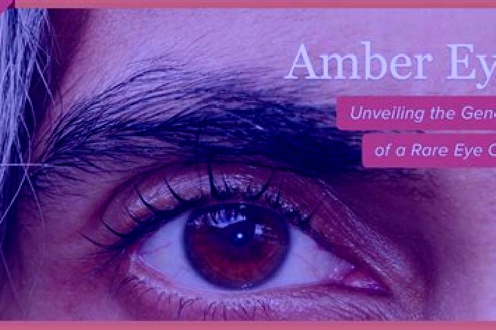 Elizabeth, 25, a black amber-eyed asian companion based in Rozerieulles. Offering Prostate Massage, Domination, A-Level, Striptease, BDSM. Available for inca...
