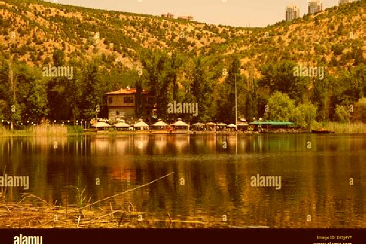 Elizabeth, 25 — Escort in Eymir, Turkey