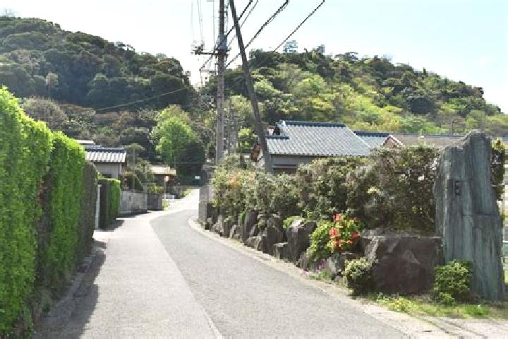 Elizabeth, 25 — Escort in Kimitsu, Japan