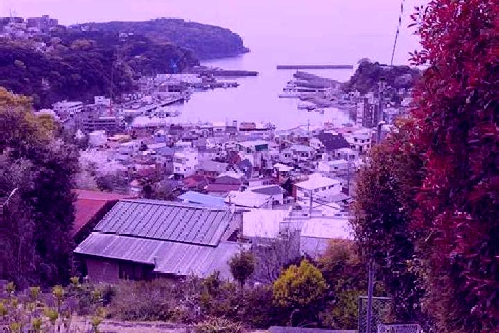 Elizabeth, 25 — Escort in Manazuru, Japan
