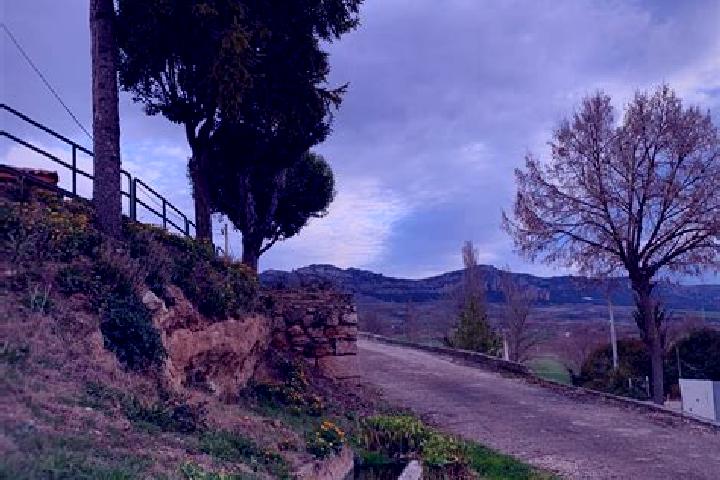 Elizabeth, 25 — Escort in Vallarta de Bureba, Spain