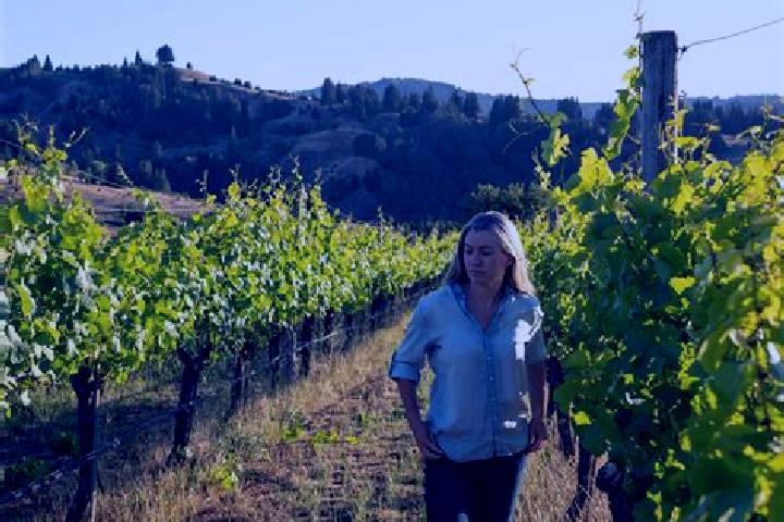 Elizabeth, 25 — Escort in Vineyard, United States