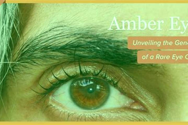 Elizabeth, 26, a red amber-eyed caucasian companion based in Hlobyne. Offering Domination, Erotic Massage, Prostate Massage. Available for incall and outcall...