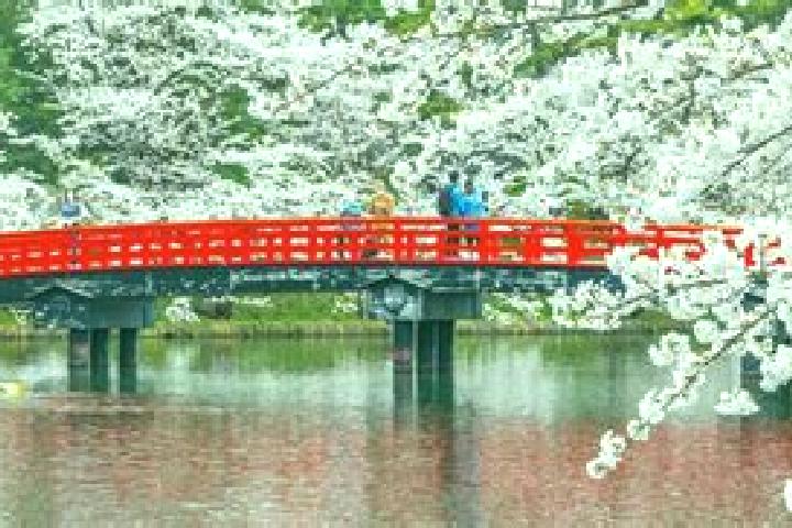 Elizabeth, 26 — Escort in Hiranai, Japan