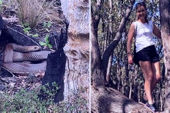 Elizabeth, 26 — Escort in Lithgow, Australia