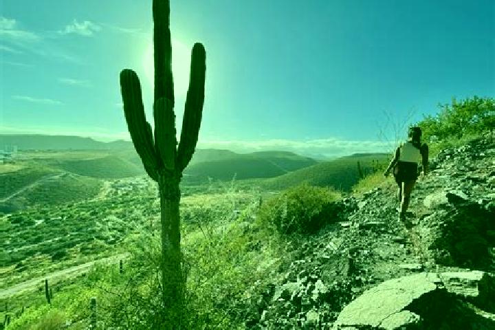 Elizabeth, 28 — Escort in Cerro de la Cruz, Mexico