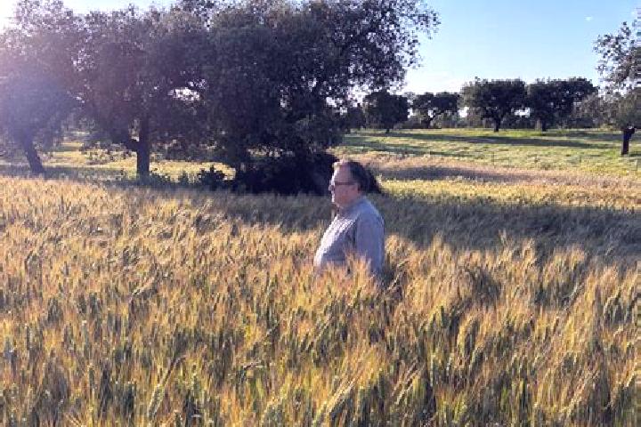 Elizabeth, 28 — Escort in Esparragalejo, Spain