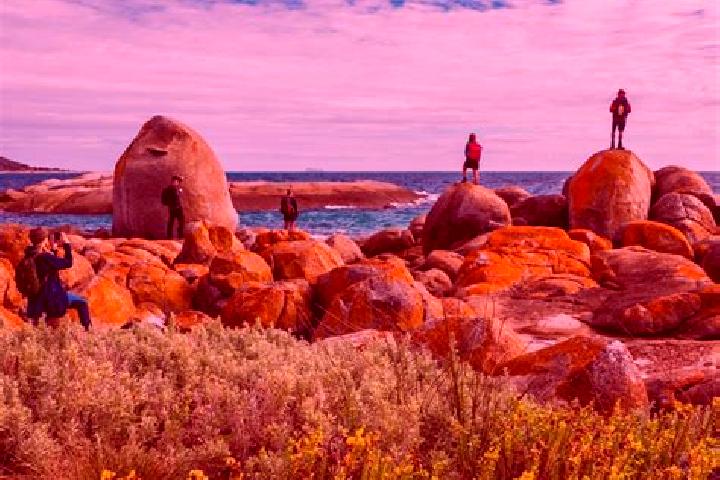 Elizabeth, 28 — Escort in Flinders, Australia