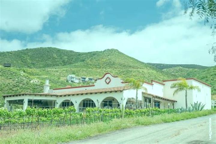 Elizabeth, 29 — Escort in Hacienda Guadalupe, Mexico