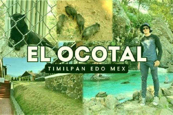Elizabeth, 29 — Escort in San Francisco Ocotal, Mexico