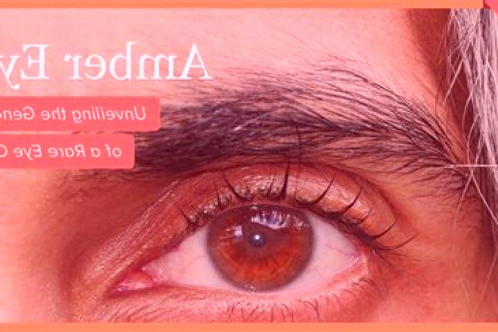 Elizabeth, 30, a black amber-eyed middle eastern companion based in Gozdnica. Offering Dinner Date, CIM, Domination, Couples. Available for incall and outcal...