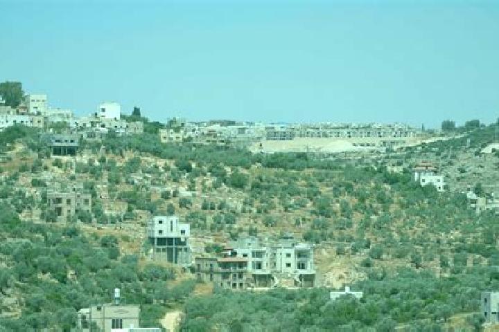 Elizabeth, 30 — Escort in Bruchin, Palestine