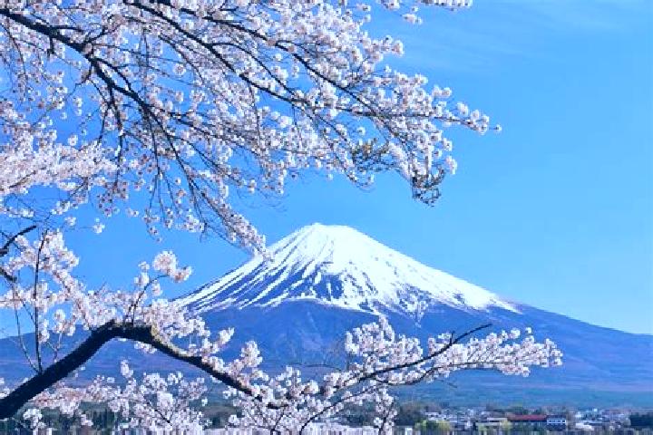 Elizabeth, 30 — Escort in Koshi, Japan