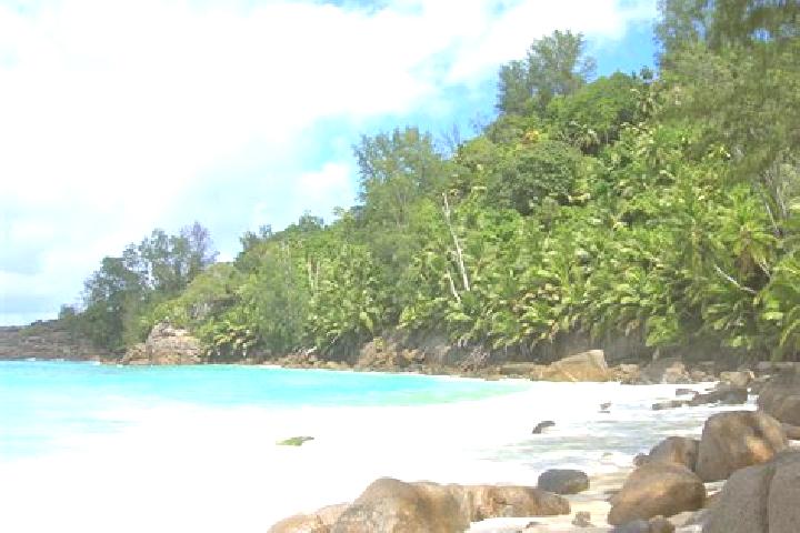 Elizabeth, 30 — Escort in Plaisance, Seychelles