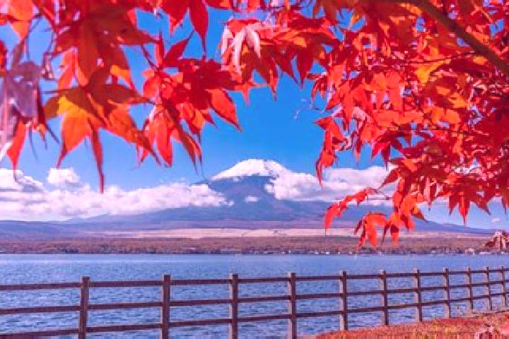 Elizabeth, 30 — Escort in Shimukappu, Japan