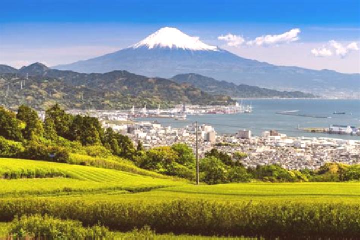 Elizabeth, 31 — Escort in Izunokuni, Japan