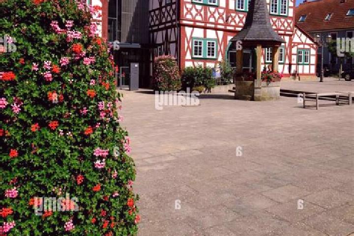 Elizabeth, 31 — Escort in Stadtlauringen, Germany