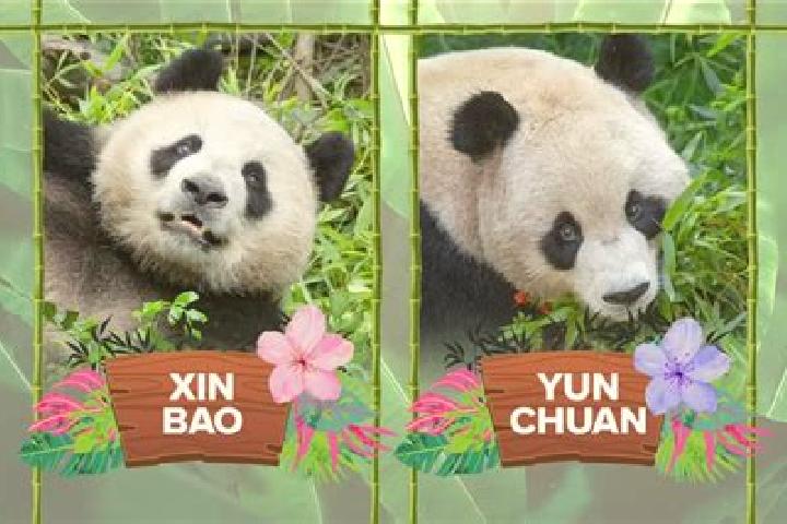 Elizabeth, 31 — Escort in Xinbao, China