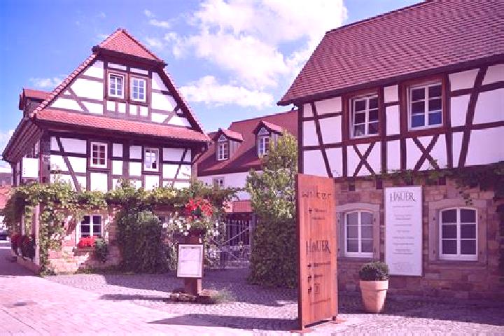 Elizabeth, 32 — Escort in Pleisweiler-Oberhofen, Germany