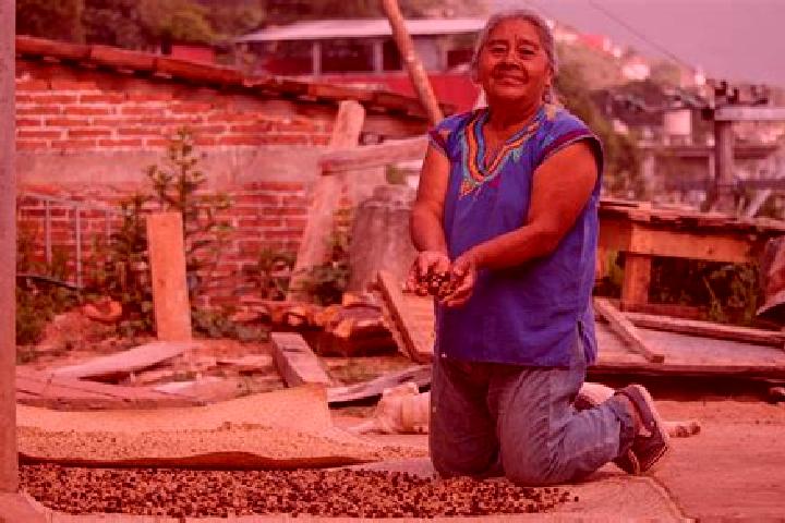 Elizabeth, 32 — Escort in Villa Talea de Castro, Mexico