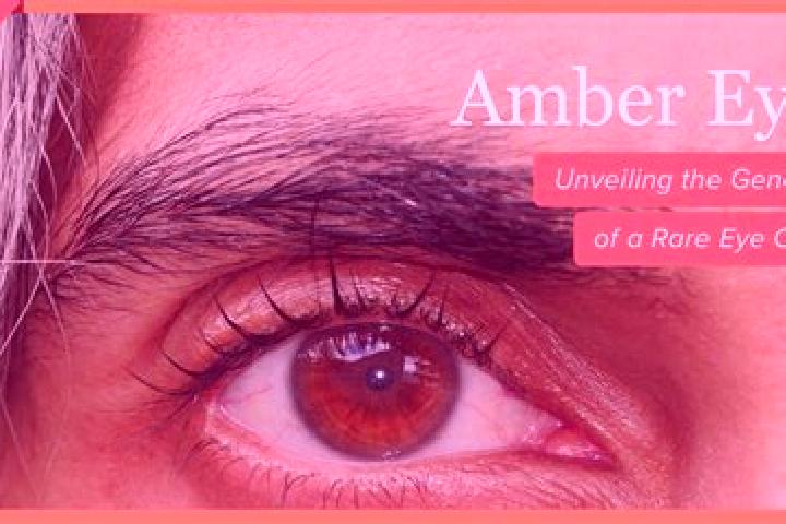 Elizabeth, 33, a red amber-eyed middle eastern companion based in Saint-Simeon. Offering GFE, Fetish, Overnight. Available for incall and outcall, day and ev...