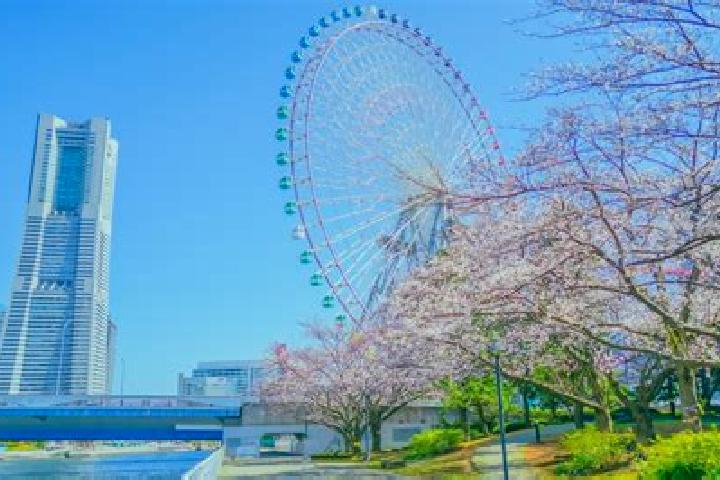 Elizabeth, 33 — Escort in Minatomirai, Japan