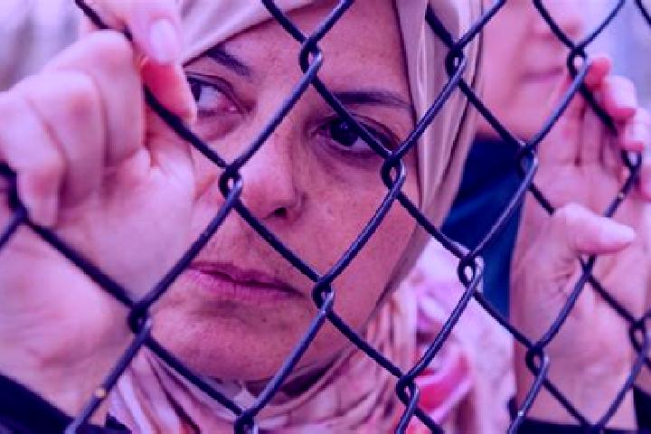 Elizabeth, 33 — Escort in Qabatiyah, Palestine
