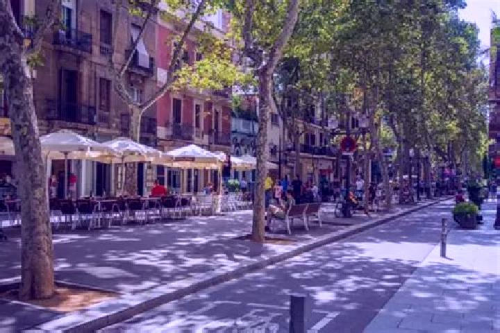 Elizabeth, 34, a chestnut amber-eyed mediterranean companion based in Barri de Sant Andreu. Offering Erotic Massage, Dinner Date, OWO. Available for incall a...