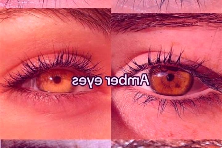Elizabeth, 34, a chestnut amber-eyed middle eastern companion based in Sidi Ben Nour. Offering Striptease, Overnight, GFE, Erotic Massage. Available for inca...