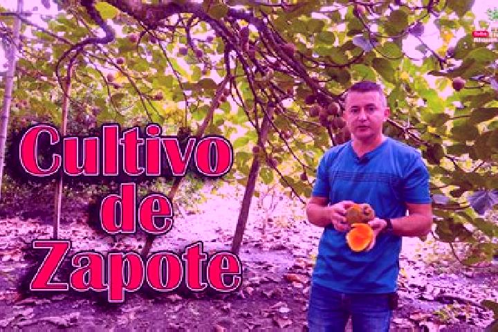 Elizabeth, 34 — Escort in Meson Zapote, Mexico