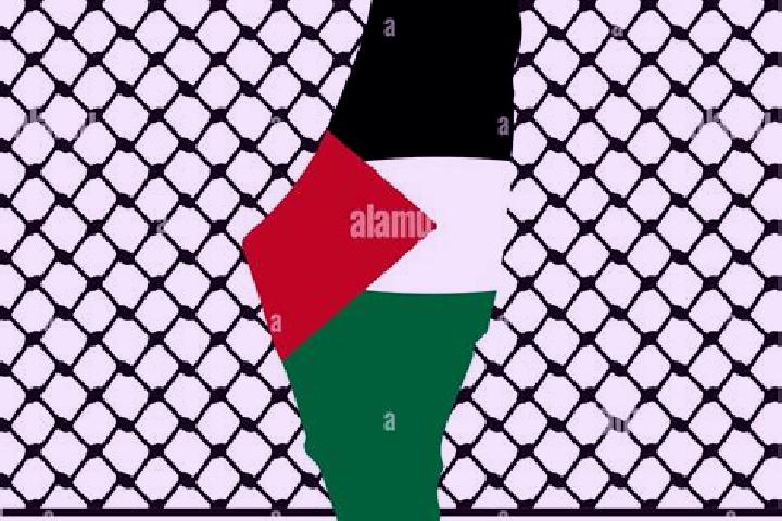 Elizabeth, 34 — Escort in Shaked, Palestine