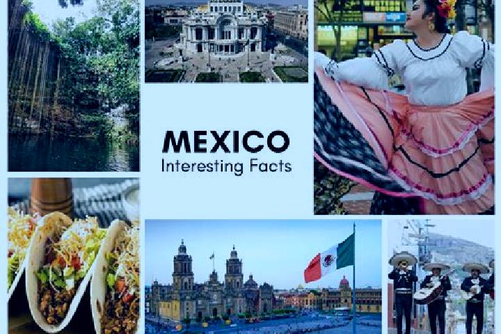 Elizabeth, 35 — Escort in Tecoxtle, Mexico