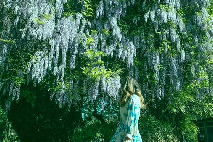 Elizabeth, 36 — Escort in Schitu, Romania