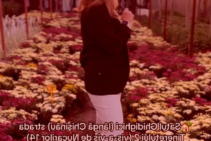 Elizabeth, 36 — Escort in Valea Nucarilor, Romania