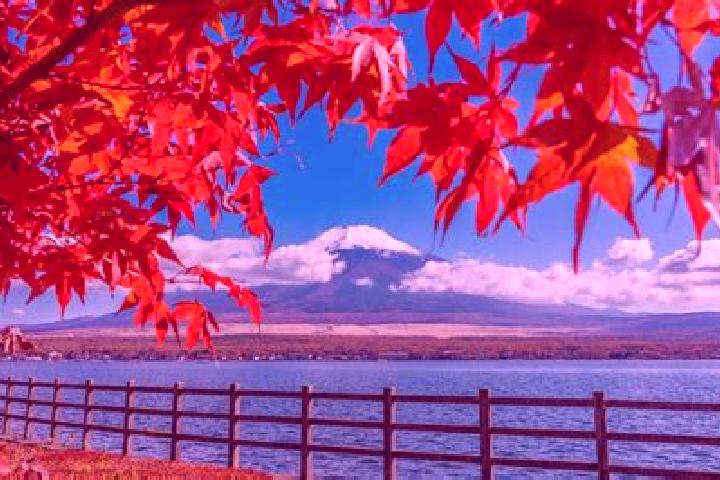 Elizabeth, 37 — Escort in Tagami, Japan