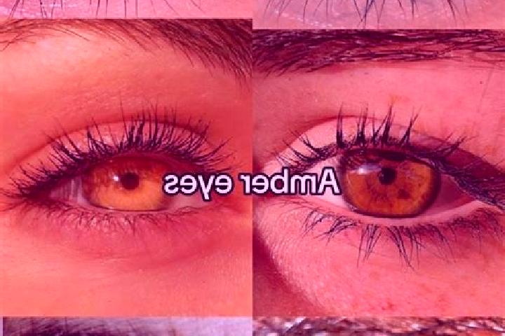 Elizabeth, 38, a chestnut amber-eyed mediterranean companion based in Les Mathes. Offering Girlfriend Experience, OWO, GFE, Couples, 69. Available for incall...