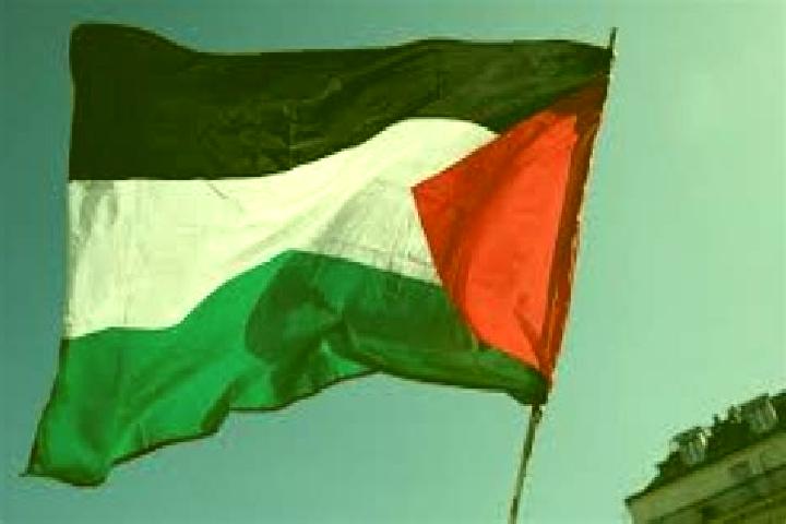 Elizabeth, 38 — Escort in Az Zuwaydah, Palestine