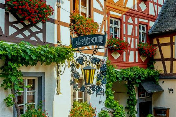 Elizabeth, 38 — Escort in Godenroth, Germany