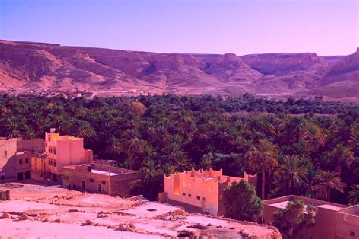 Elizabeth, 38 — Escort in Zagora, Morocco