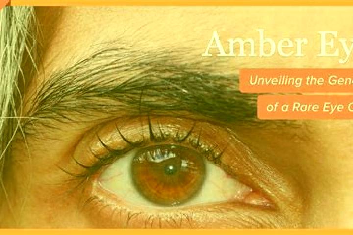 Elizabeth, 39, a red amber-eyed indian companion based in Felix. Offering Dinner Date, Domination. Available for incall and outcall, overnight bookings avail...