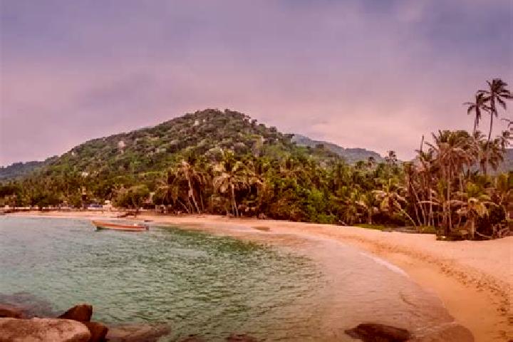 Elizabeth, 39 — Escort in Santa Marta, Panama